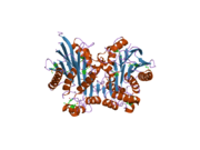 2a8i: Crystal Structure of human Taspase1