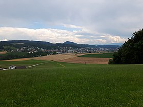 Hedingen von der Rütelimatten aus gesehen