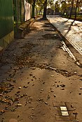 Stolpersteine in Zrenjanin, Servië