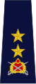 Tümgeneral (Jandarma)