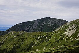 De top van de Pietrosul Rodnei