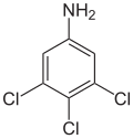 Struktur von 3,4,5-Trichloranilin