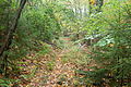 General view of a trail