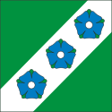 Vlag van de gemeente Abja