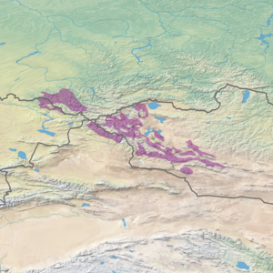 Ecoregion territory (in purple)