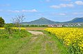 FFH-Gebiet bei Bisingen