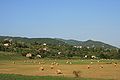 Fields of Hay, ready for winter in Borgo Val di Taro, Parma, Italy.