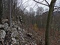 Senkrecht stehende bzw. überkippte Platten am Geissberggrat oberhalb von Ennetbaden; rechts im Hintergrund durch die Bäume erkennbar die Lägern mit Wettingerhorn und Burghorn (hinten)