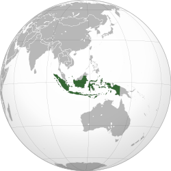 Endonezya haritadaki konumu