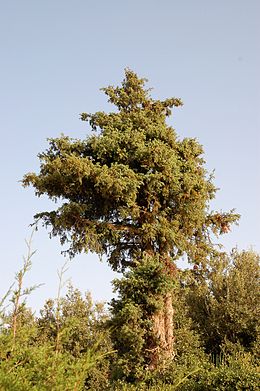 Atlasz-hegység, Imlil-völgy (Marokkó)