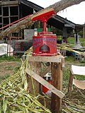 A horse-driven sorghum cane juicer being used to extract the sweet juice in North Carolina
