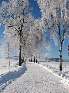 4. Platz: Sauerland im Winter (4. Friedhelm Dröge)