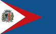 Vlag van Guareí