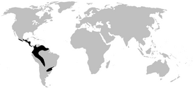 Distribution of Centrolenidae (in black)