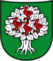 Wappen der ehem. Gemeinde Schneppenbaum