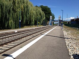 Station Duppigheim