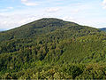 Melibokus-Granodiorit (aus Richtung Auerbacher Schloss)