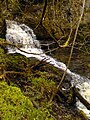 The middle section of the waterfall