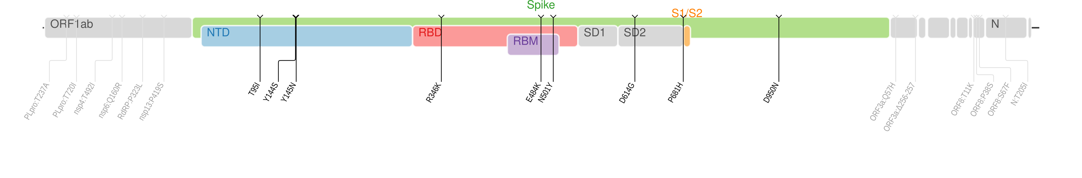 Amino acid mutations of SARS-CoV-2 Mu variant plotted on a genome map of SARS-CoV-2 with a focus on the spike.[14]