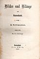 Bilder & Klänge aus Rudolstadt 1868