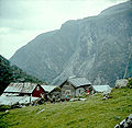 1960. Sinjarheim is situated at the edge of a precipice where the bottom of the abyss was filled with the foaming Aurlandselvi. Due to this it was common practice to secure the children with ropes. The trees in the background to the left are on the other side of the valley. The mountain in the background is Eisingaberget where cattle drives were led before the passage in Sinjarheimsgalden was built and passable for cattle drives in 1870.