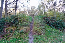 Een van de 'bulten", de "Konijneberg", in It Berchebosk