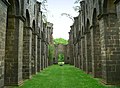 Ruine der Klosterkirche Arnsburg