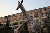 A random giant giraffe display in an old apartment complex (2006)