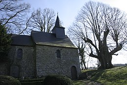 Európai hárs (hibrid), a belgiumi Hameau de Doyonban álló Szent Miklós-kápolna mellett