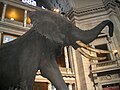 Underneath the museum rotunda