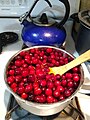 Preparing cranberry sauce at home
