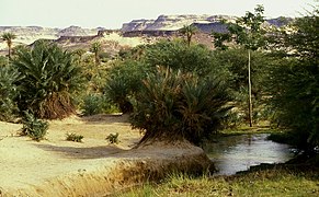 Bilma, Niger