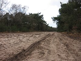 Zandpad oefenterrein op de Oirschotse Heide