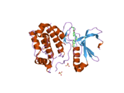 2np8: Structural Basis for the Inhibition of Aurora A Kinase by a Novel Class of High Affinity Disubstituted Pyrimidine Inhibitors