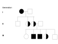 This pedigree has a sex-linked recessive disorder. It is possible to tell the trait is recessive because it skips a generation with only carriers in generation 2. Because the trait is sex-linked only females can be carriers since only females have 2 x chromosomes. As a result a lot more males tend to display sex-linked recessive disorder than females. Female carriers tend to give the trait to about half of their sons and daughters but only the sons will be affected while the daughters will only be carriers.