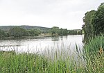 Stausee in 98590 Schwallungen-Eckardts