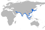 Narrow-ridged finless porpoise range (red color)