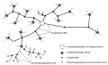 Vorschaubild der Version vom 15:46, 5. Feb. 2015