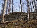 Zwingermauer vom Burggraben aus gesehen