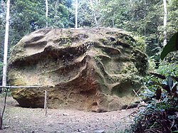 The Cumpanamá Petroglyph