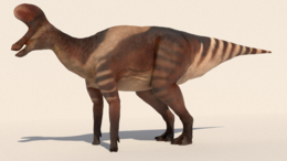 A Lambeosaurus magnicristatus rekonstrukciója