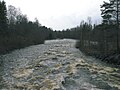 Frühjahrshochwasser am Sävarån bei Sävar