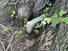 Sunk gravestone, Retan Historic Cemetery, Fort Lee, NJ 2024