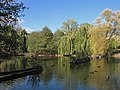 Teich im Volkspark Mariendorf