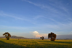 Landschaft im Valle Tizayuca