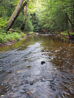 Twomile Run in the township