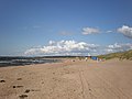 Tylösand's sandy beach