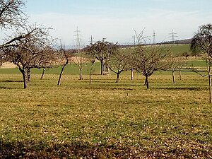 Die Natur von Eschelbronn ist die dritte