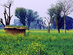 Rural scene in Bhimber District