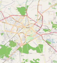 Mapa konturowa Białegostoku, w centrum znajduje się ikonka pałacu z opisem „Pałac Branickich w Białymstoku”